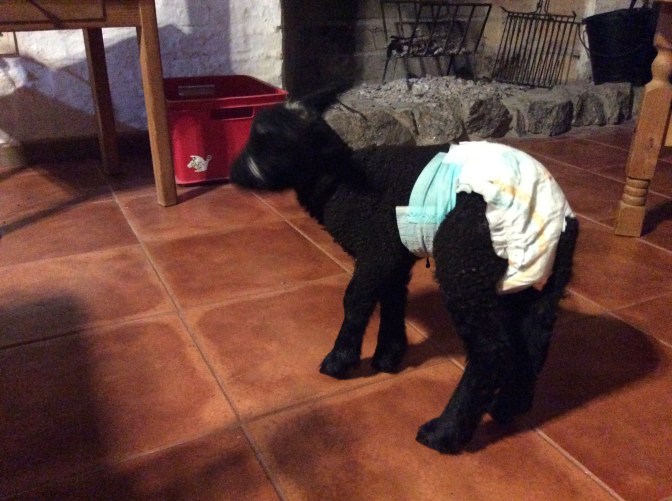 052984E5-4C44-43E2-8231-71E5A8690CEC