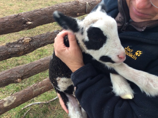 7513CE7B-1172-4951-926B-043F44DC1E6D