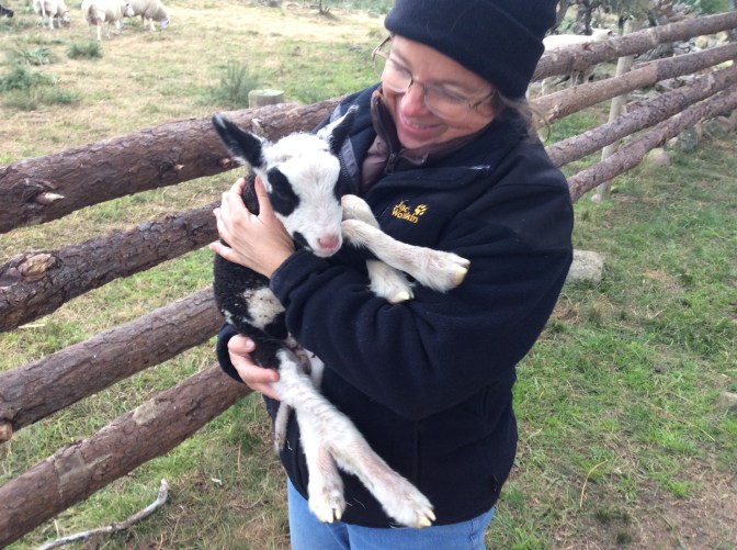 A2DECEA9-FD7E-4FE6-BD31-3B7189A4DACA