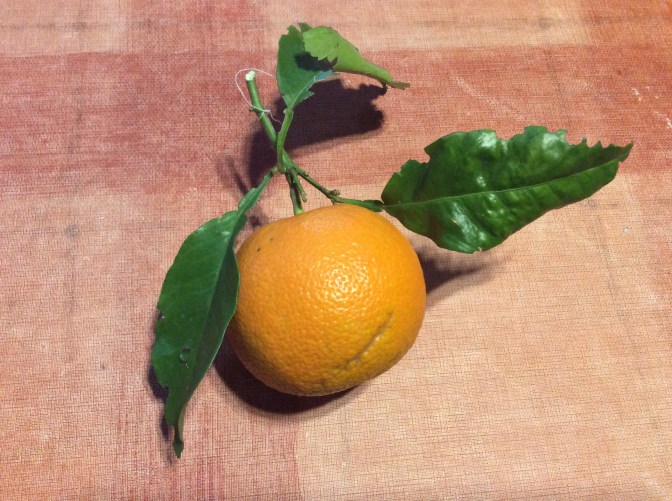 98DAC435-71E8-450E-907B-8BA6C14424F2